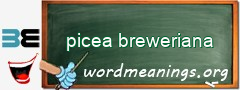 WordMeaning blackboard for picea breweriana